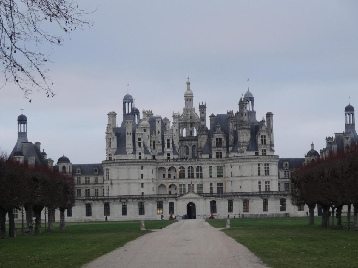 Gite Le Cerf Solognot Proche Chateau Chambord, Lamotte Beuvron Neung-sur-Beuvron Exterior foto
